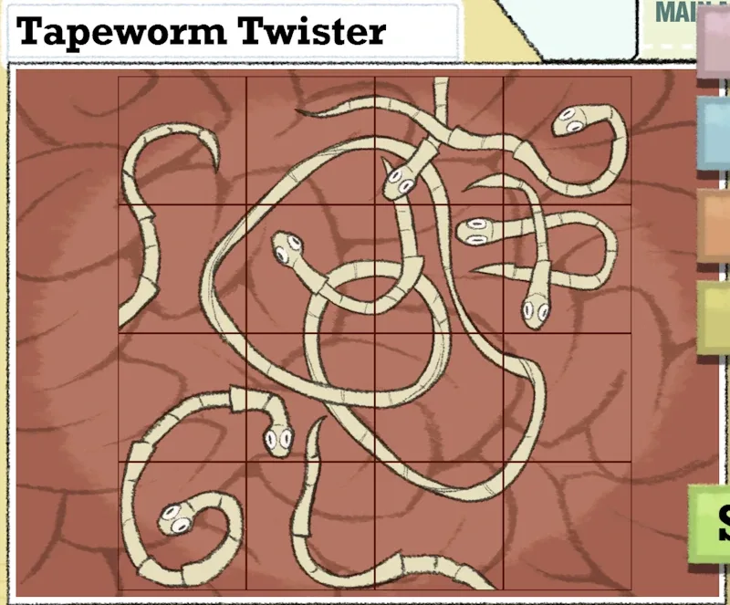 5_Tapeworm_twister.webp